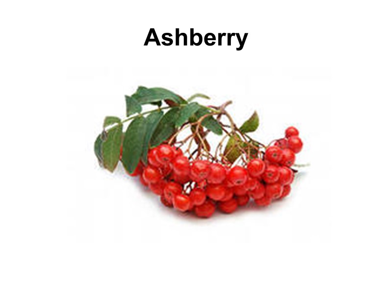 Ashberry